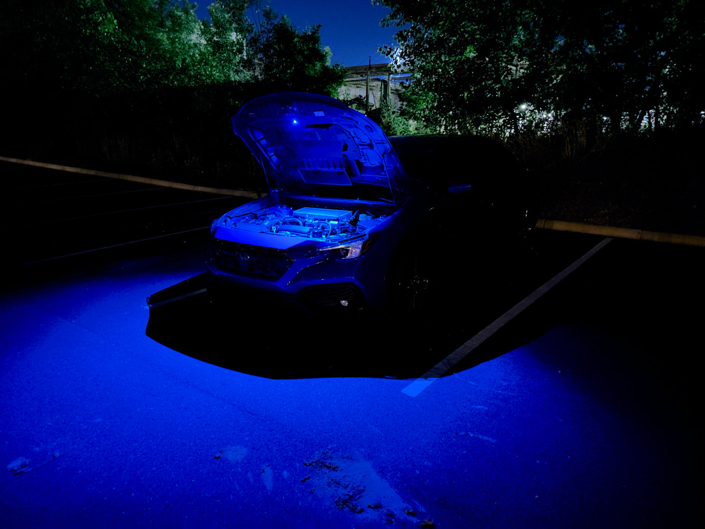 2022+ WRX Baja Designs Underhood Light Kit