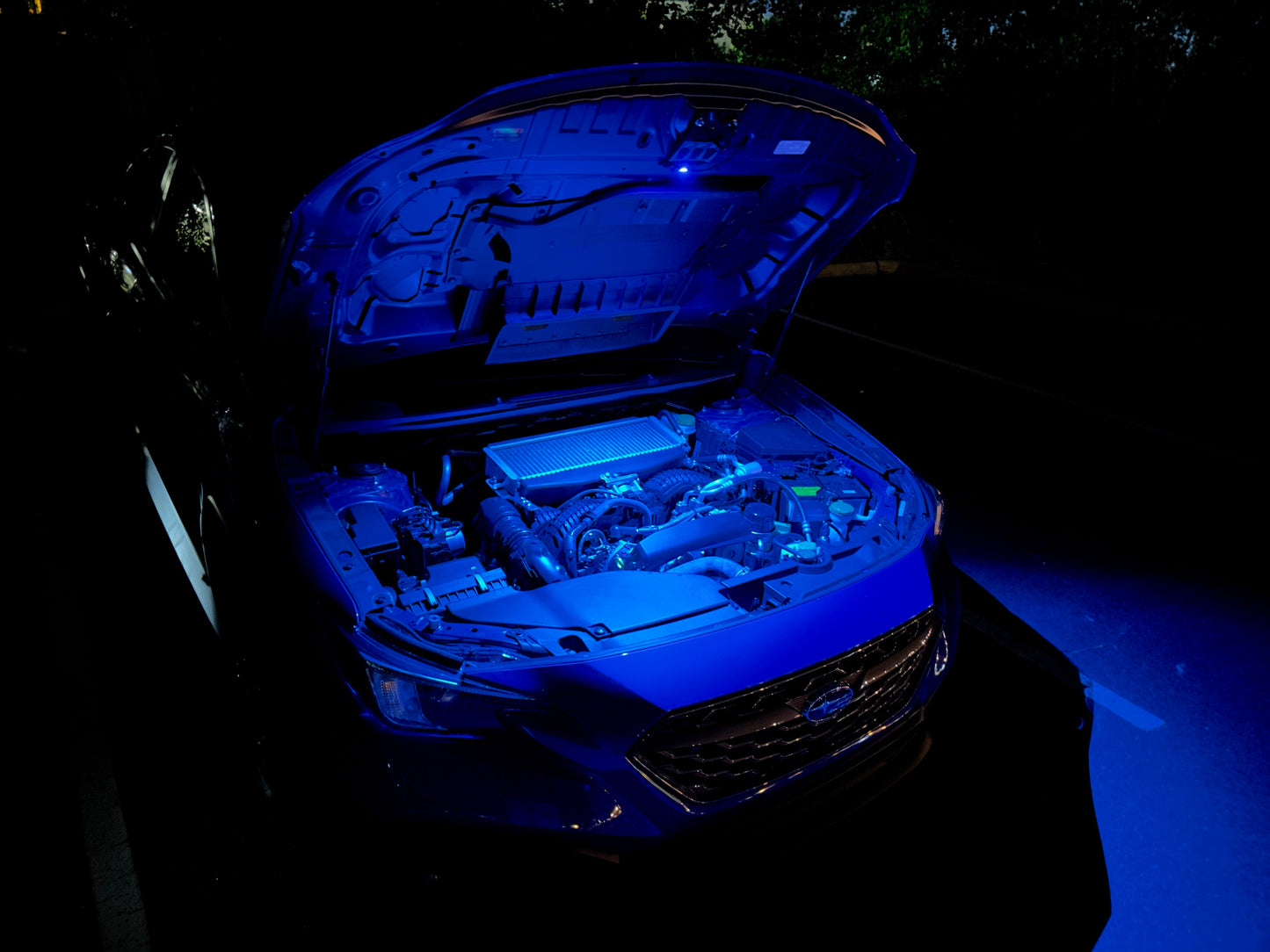 2022+ WRX Baja Designs Underhood Light Kit