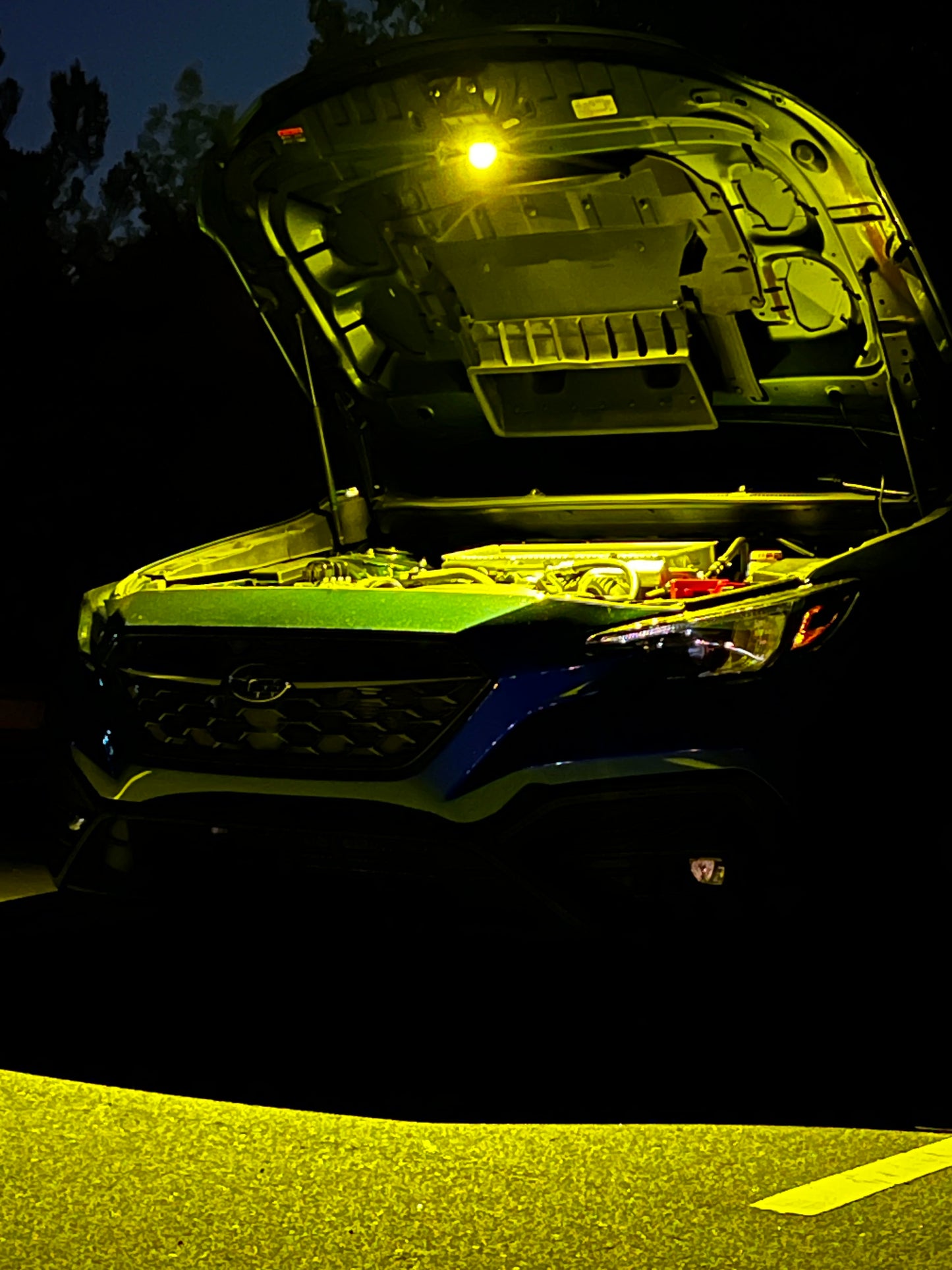 2022+ WRX Baja Designs Underhood Light Kit