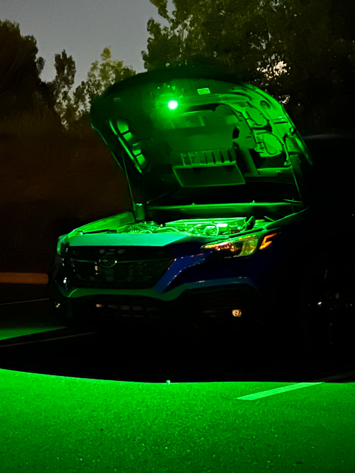 2022+ WRX Baja Designs Underhood Light Kit