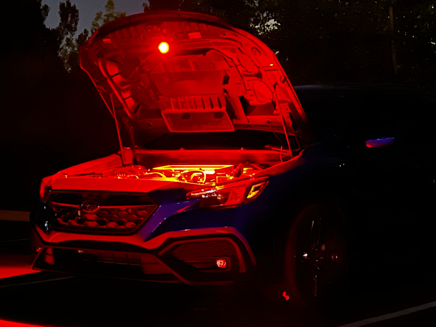 2022+ WRX Baja Designs Underhood Light Kit